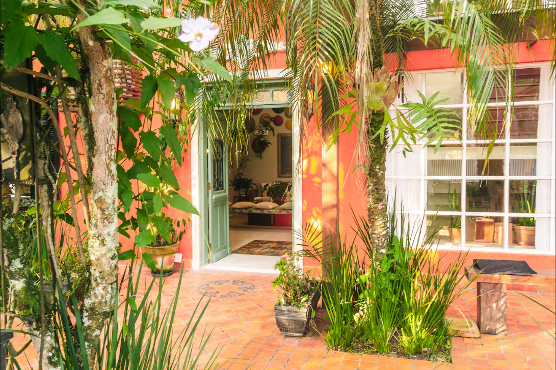 Entrada colorida da casa entre plantas tropicais